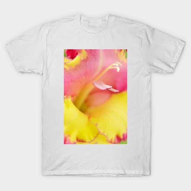 Gladiolus  &#39;Stereo&#39;  Sword lily T-Shirt by chrisburrows